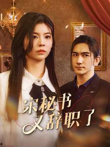 宋秘书又辞职了,职场风云再起